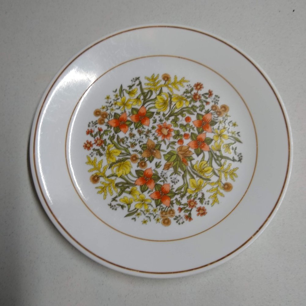 Corelle Indian Summer Corning Dinner plate 10 1/4"